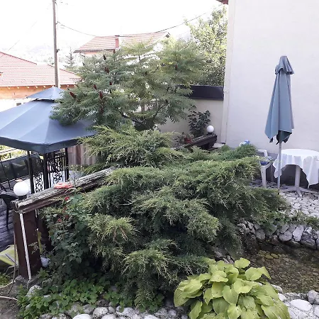 Jejna * Sarajevo